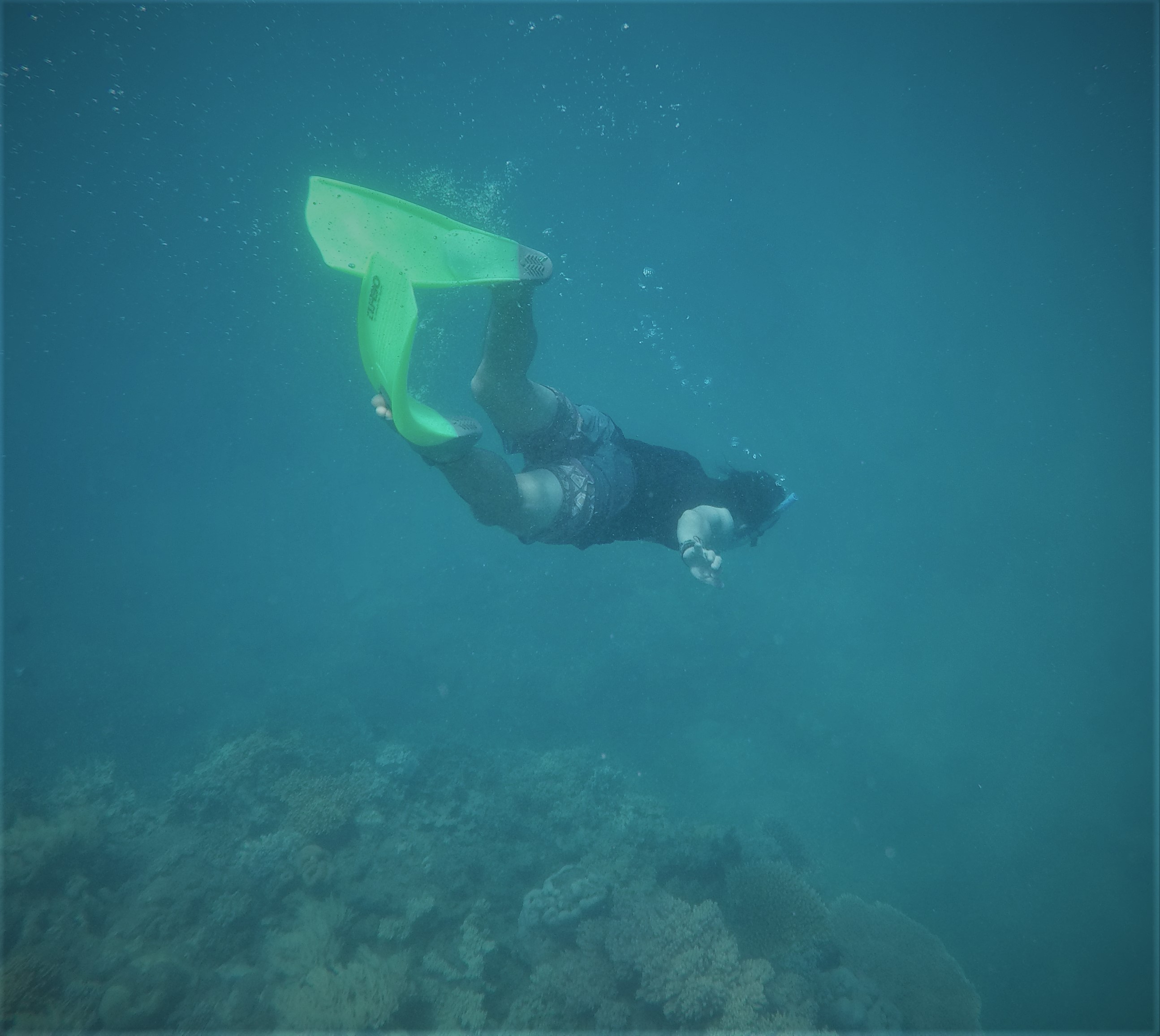 DCIM100GOPROGOPR1631.